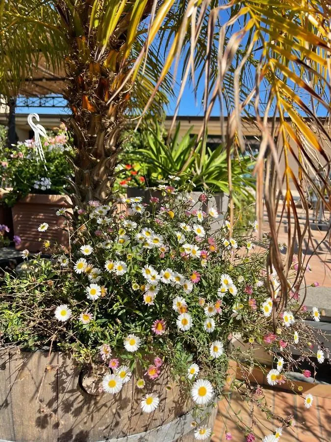 Attico Cedronio Apartment Naples Italy